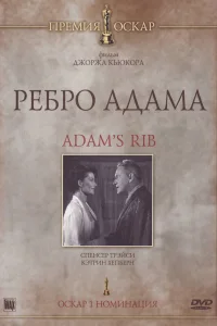 Ребро Адама